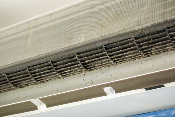 Best Duct Cleaning Specialists  in Burlington, NC